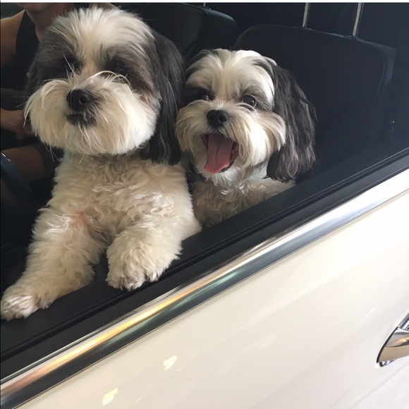 Meet your Posher, Michelle - Picture 4 of 4